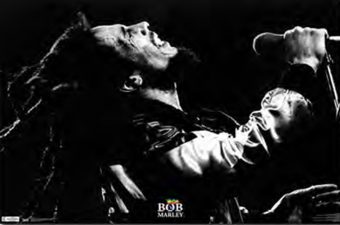 Bob Marley Live in Concert 35 x 23 inch Music Poster