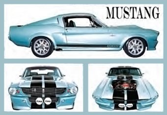 Fabulous Mustangs 36 x 24 inch Auto Poster