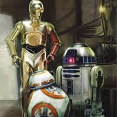Star Wars Droids Group Shot 23 x 35 Inch Movie Poster