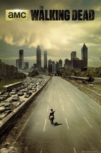 The Walking Dead Highway 24 X 36 inch Television Series Poster