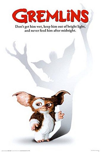 Gremlins – Don’t Get Him Wet 24 x 36 inch Movie Poster
