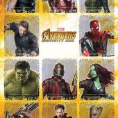 Avengers: Infinity War Portrait Collage Chart 22 x 34 inch Movie Poster 15241