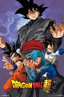 Dragon Ball Super Villains 22 x 34 inch Television Series Poster