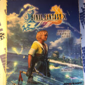 Final Fantasy X Official Strategy Guide Brady Games (2002) [658]