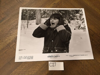 Damien: Omen II Original Full Color Lobby Card Press Photo (1978) [C27]