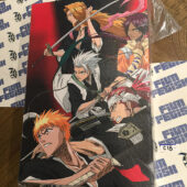 Bleach Anime TV Series 12×18 inch Officially Licensed Canvas Print