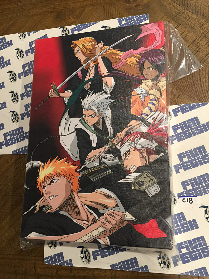 Bleach Anime TV Series 12×18 inch Officially Licensed Canvas Print