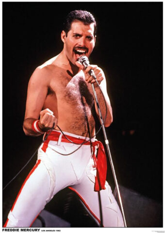 Queen Los Angeles: Freddie Mercury 23×33 inch (1982) Music Concert Poster