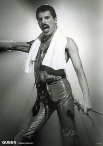 Queen: Freddie Mercury with Towel 23×33 inch Music Concert Poster