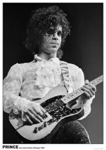 Prince with Guitar at Joe Louis Arena in Chicago (1984) 23×33 inch Music Concert Poster