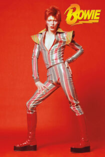 David Bowie 24 X 36 inch Ziggy Stardust Glam Music Concert Poster