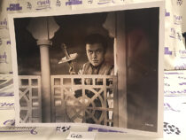 Actor Turhan Bey Original 8×10 inch Publicity Press Photo [G65]