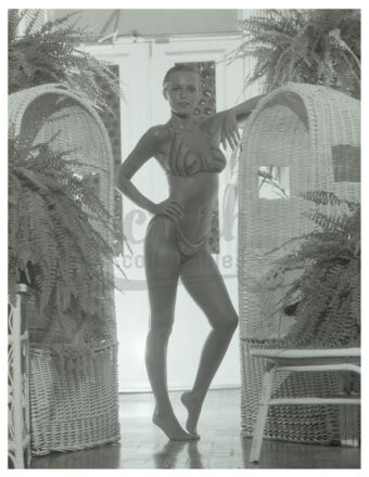 Cheryl Ladd in Bikini Publicity Photo [210522-0001]
