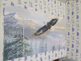 American Eagle Over Mountain Range 27×51 inch Licensed Beach Towel [T02]