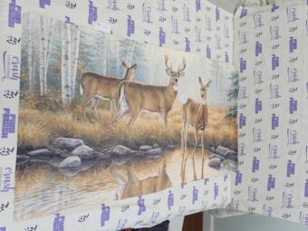 Deer Family in Forest 27×51 inch Licensed Beach Towel [T06]