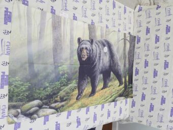 Bear in the Woods 27×51 inch Licensed Beach Towel [T07]