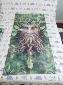 Magic Tree Fantasy Art Work Anne Stokes 27×51 inch Licensed Beach Towel [T14]