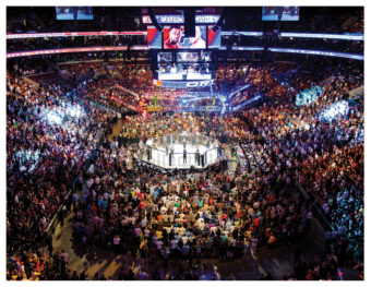 Rashad Evans Tito Ortiz Mixed Martial Arts MMA Fight in Philadelphia (2012) Photo [221110-6]