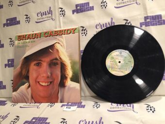 Shaun Cassidy 2 Vinyl LP, Shaun Cassidy (BS 3067) & Born Late (BSK 2126) (1977) Warner Bros K50 & 51