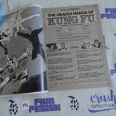 The Deadly Hands of Kung Fu (Summer 1974, Vol 1 No 1) Comic Book Magazine Special Album Edition [Y96]