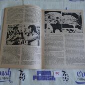 Stan Lee Presents The Deadly Hands of Kung Fu (Dec 1974, Vol 1 No 7) Comic Book Magazine [Y97]
