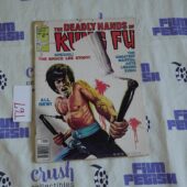 The Deadly Hands of Kung Fu (Sept 1976, Vol 1 No 28) Comic Book Magazine Bruce Lee Story Ken Barr Cover Art [T67]