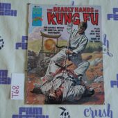 The Deadly Hands of Kung Fu (Feb 1976, Vol 1 No 21) Comic Book Magazine New Iron Fist [T68]