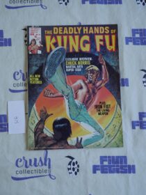 The Deadly Hands of Kung Fu (Jan 1976, Vol 1 No 20) Comic Book Magazine, Iron Fist, Chuck Norris Interview [S16]