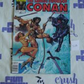The Savage Sword of Conan the Barbarian Marvel Comic Book, Joe Jusko Cover (Sept 1984, Vol 1, No 104) [S10]