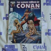 The Savage Sword of Conan the Barbarian Marvel Comic Book, Joe Jusko Cover (May 1984, Vol 1, No 100) [S07]