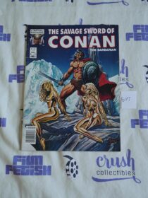 The Savage Sword of Conan the Barbarian Marvel Comic Book, Joe Jusko Cover (May 1984, Vol 1, No 100) [S07]
