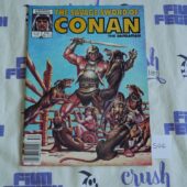 The Savage Sword of Conan the Barbarian Marvel Comic Book, Ernie Chan Cover (Dec 1985, Vol 1, No 119) [S06]