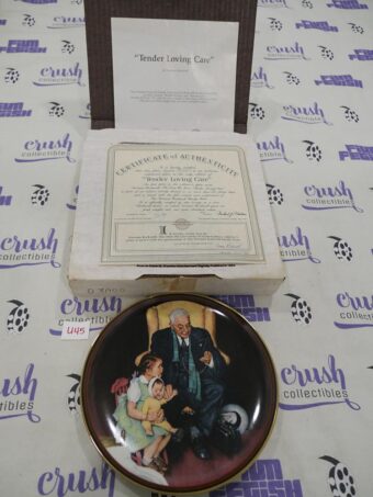 Vintage Norman Rockwell Collector Plate Tender Loving Care Number 198GGJ with Certificate of Authenticity [U45]