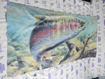 Baiting Fish Mark Hanson Wild Animals Art Work Painting 27×51 Licensed Beach Towel [K18]