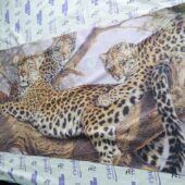 Leopard Family Lee Kromschroeder Wild Animals Art Work Painting 27×51 Licensed Beach Towel [K20]