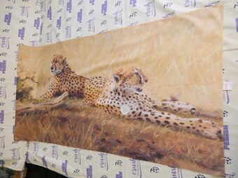Two Cheetahs Grant Hacking Wild Animals Art Work Painting 27×51 Licensed Beach Towel [K23]