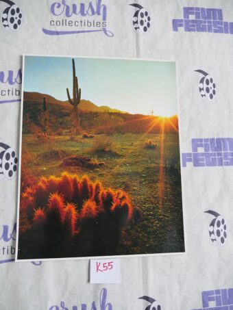 Ed Cooper Desert Glows in the Evening Sun Landscape Photo Print [K55]