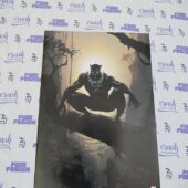 Marvel Comics Black Panther Superhero Character 20×28 inch Licensed Art Print [N07]