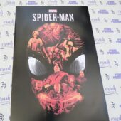 Marvel Comics Spider-Man Superhero Character 24×36 inch Poster Art Print [N12]