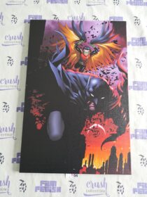 Batman and Robin Superheroes 15×24 inch Canvas Art Print [N56]