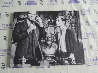 Batman (Adam West) and Robin (Burt Ward) 20×16 inch Canvas Photo Print [N63]