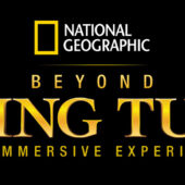 Beyond King Tut: The Immersive Experience Hartford (2023)