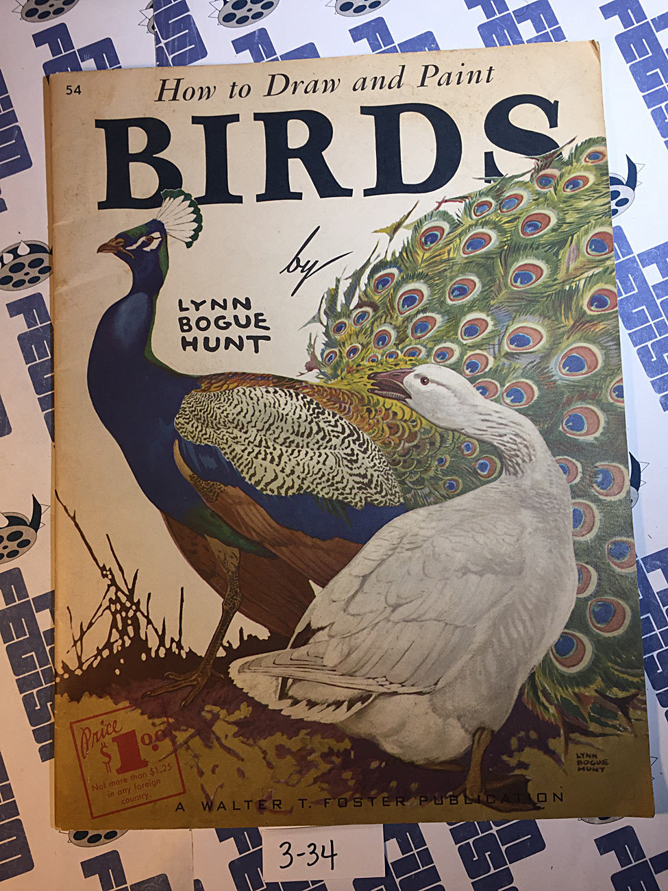 How to Draw and Paint Birds by Lynn Bogue Hunt Art Instruction Guide [334]