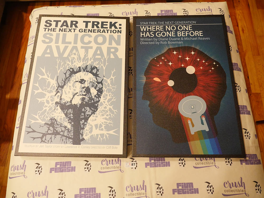 Star Trek: The Next Generation Licensed Set of 3 Sealed 16×24 Canvas Prints, Picard, Riker [R87]